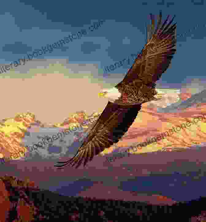 A Golden Eagle Flying Over The Purcell Mountains In The Kootenay Rockies Best Places To Bird In British Columbia