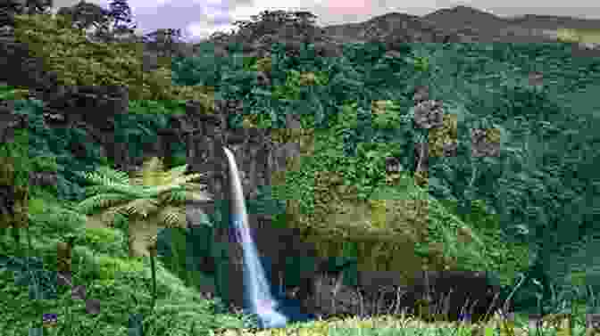 A Lush Rainforest In Costa Rica The Blind Masseuse: A Traveler S Memoir From Costa Rica To Cambodia