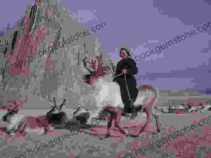 A Woman Tending To Her Reindeer In Siberia Colin Thubron