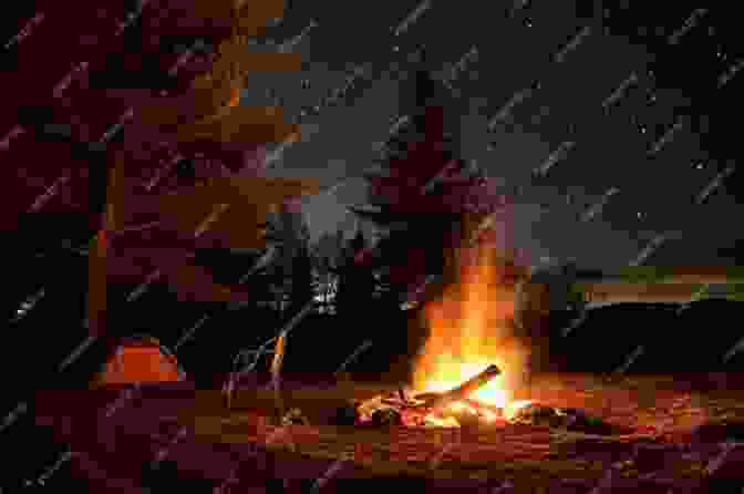 Campfire Burning Under A Starlit Sky At A Campsite In Ontario Ontario S Outdoor Adventures Tessa Dare
