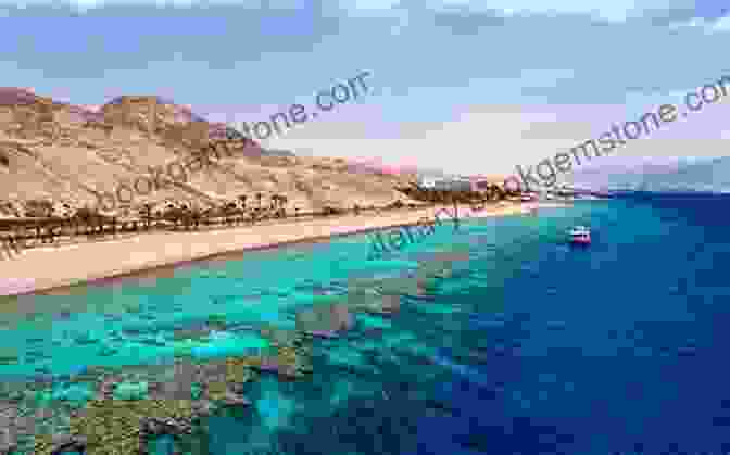 Eilat Beach And The Red Sea Israel In One Week Katy Sprinkel