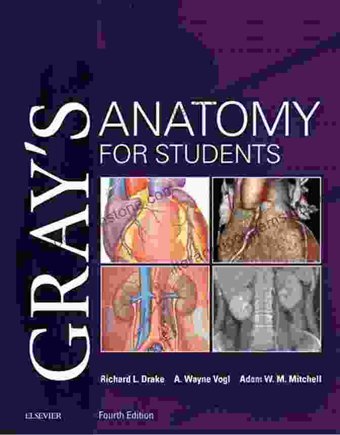 Gray's Anatomy For Students Gray S Anatomy For Students Flash Cards E Book: With STUDENT CONSULT Online Access