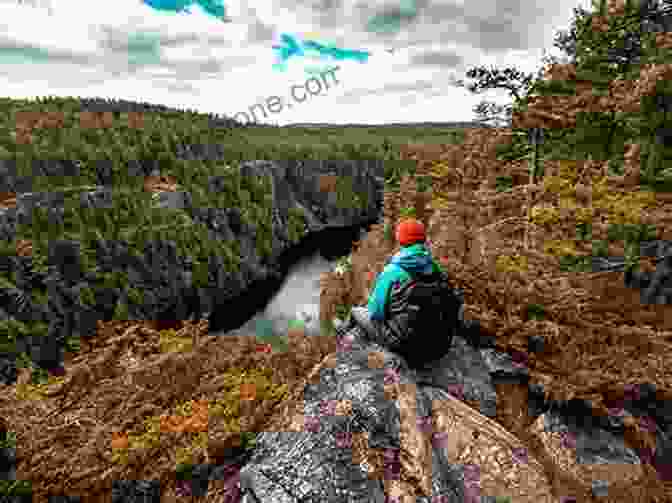 Hiker On A Scenic Trail In Algonquin Park Ontario S Outdoor Adventures Tessa Dare