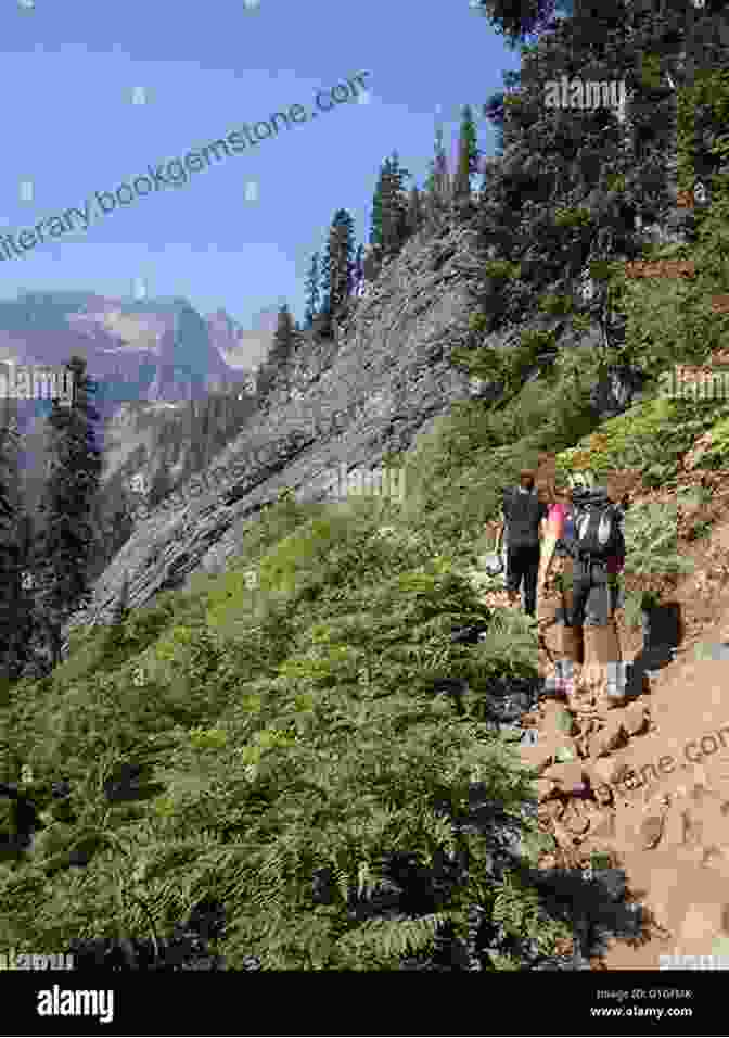 Hikers Ascending The Steep Switchbacks Of The Sulphur Mountain Trail, With Panoramic Views Of Banff Town And The Surrounding Mountains Forgotten Highways: Wilderness Journeys Down The Historic Trails Of The Canadian Rockies
