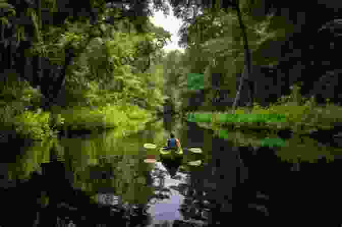 Kayaker Paddling On A Calm Lake Surrounded By Lush Greenery Ontario S Outdoor Adventures Tessa Dare