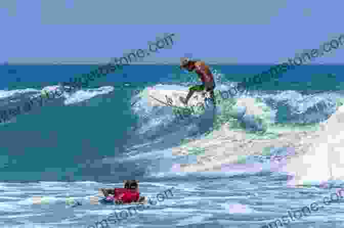 Surfer Paddling Out At Arugam Bay, Sri Lanka The Stormrider Surf Guide Indian Ocean: Surfing In The Maldives Sri Lanka Madagascar Mauritius Reunion Seychelles Comoros Yeman Oman Iran Pakistan Andaman Islands (Stormrider Surfing Guides)