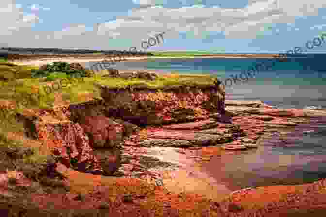 The Beautiful Landscapes Of Prince Edward Island That Inspired Montgomery The Landscapes Of Anne Of Green Gables: The Enchanting Island That Inspired L M Montgomery