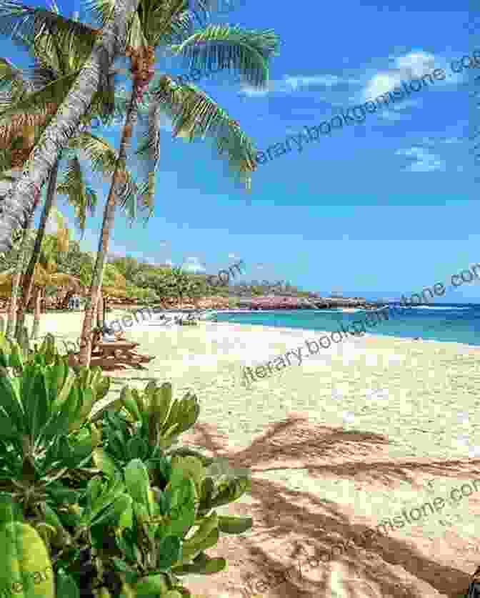 Tranquil Hulopo'e Beach On Lanai Fodor S Maui: With Molokai Lanai (Full Color Travel Guide)